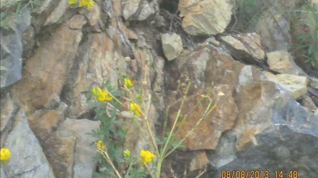 водопад,Тогул смотреть онлайн