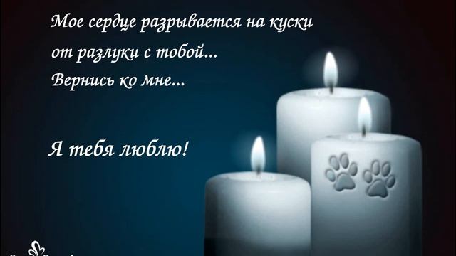 Моё сердце разрывается на куски от разлуки с тобой... смотреть онлайн