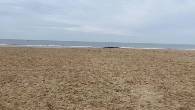 Утренняя Гаага: Северное море, пляж на сотни километров, попугаи, лодка Конюхова, газ, печка. смотреть онлайн