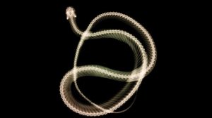 К чему снятся ГЛИСТЫ или видеть ГЛИСТОВ во сне ★ Толкование Снов ★ СОННИК 3.0™