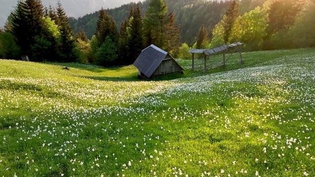 Нежная музыка, успокаивает нервную систему и радует душу лечебная музыка для сердца и сосудов смотреть онлайн