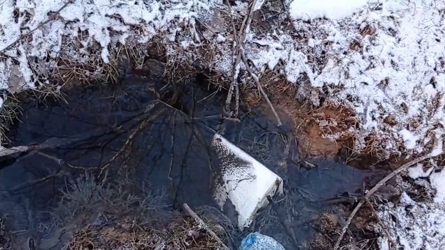Сточные воды в реку Самаринка с территории Руцкого. смотреть онлайн