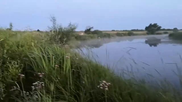 25 июля 2020, 4 утра. Улов смотреть онлайн