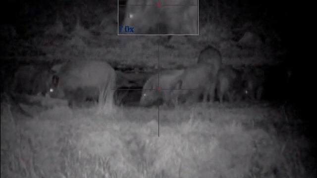 Pulsar Digisight Ultra N355 смотреть онлайн