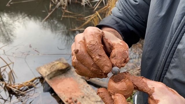 Эксперимент! Посадка Лотос орехоносный ! смотреть онлайн
