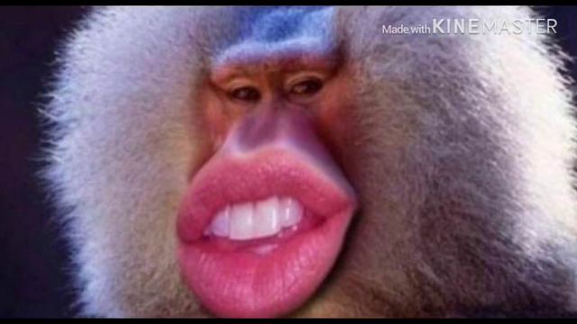 СТРАШНОЕ ВИДЕО 18+ НЕ СМОТРИТЕ ЕСЛИ НЕТ 18❗️ смотреть онлайн