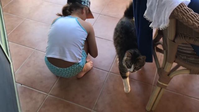 Labranda Mares Marmaris 5* Турция Мармарис глазами туриста