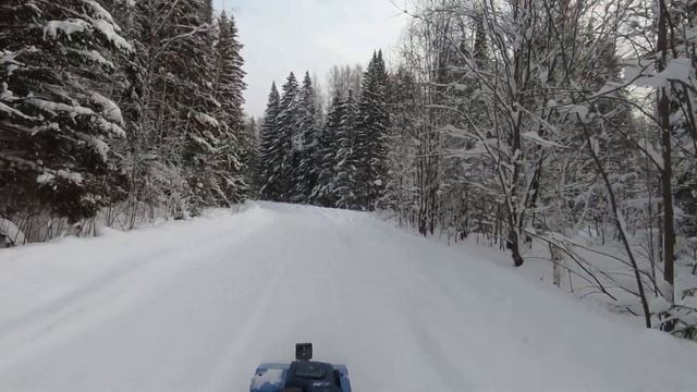 Мотособака, Зима, Лес. смотреть онлайн