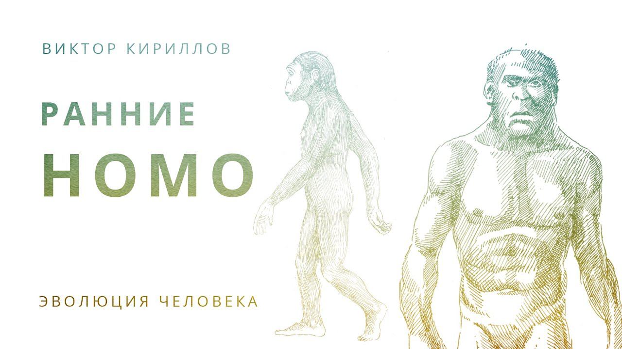 10. «Ранние Homo». Происхождение человека - 10 класс смотреть онлайн