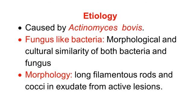 Actinomycosis Part 1: introduction, etiology, epidemiology смотреть онлайн