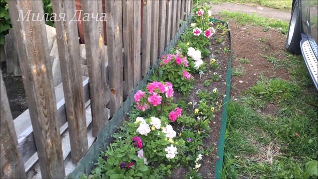 Сезон 1 Серия 7 Наш огород Первые грядки и клумба смотреть онлайн