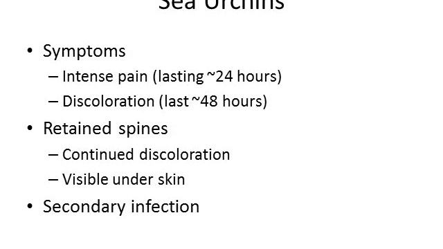 Marine Envenomation II смотреть онлайн