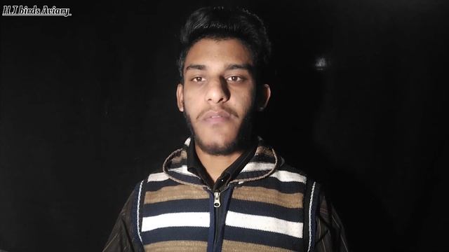 Java Sparrow Full Information || 1 lakh profit || H J Birds Aviary смотреть онлайн