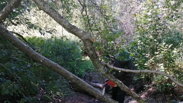 Жизнь в деревне... Перегородил реку.