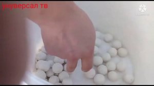 Оборудование линия для производства Курта курут 30-69 к.г в  час НАЗАРБЕК ☎️+996.776.333.700