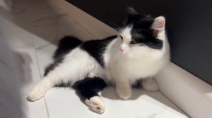 НИКА ДОБРАЛАСЬ ДО МАМИНОЙ КОСМЕТИКИ. Ника Лайф