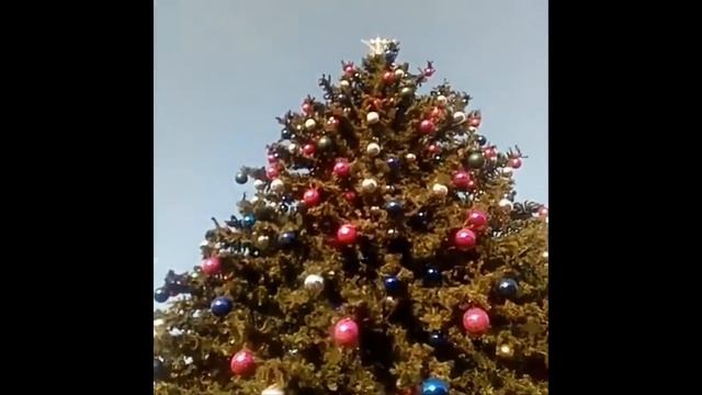 Фото-видеоподборка 2 декабря 2019 года смотреть онлайн