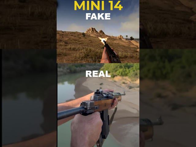 MINI 14 Sound Effect REAL VS FAKE смотреть онлайн