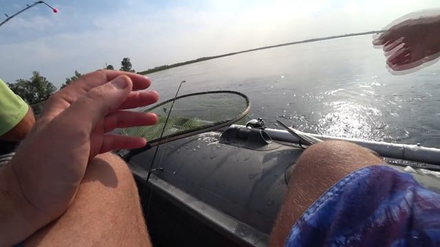 Погоня ГИМС за браконьерами! Рыбалка осенью 2021. Ловля леща на кольцо смотреть онлайн