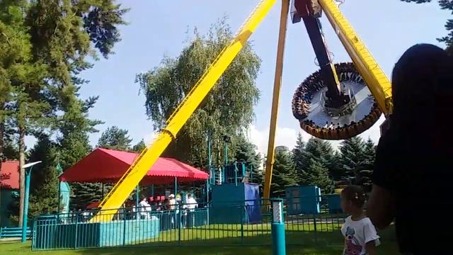Аёка и Алихан собирают шишки. смотреть онлайн