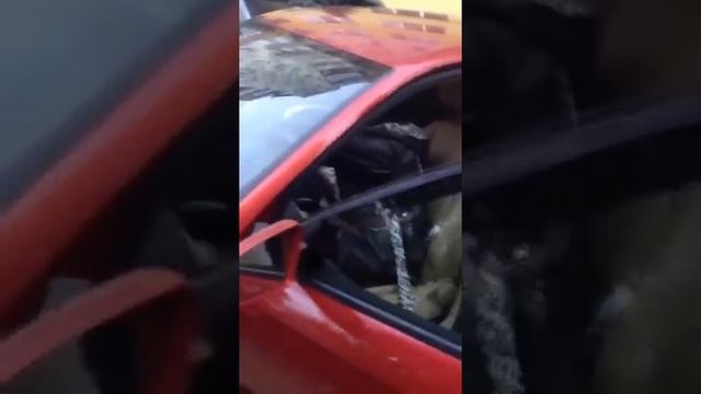 09.2О13. Пьяная баба и гаец хомячок, ГДЕ они сейчас ? в775кн13 смотреть онлайн