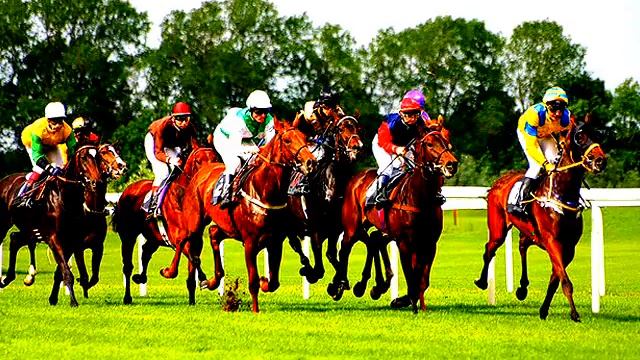 Бег иноходца смотреть онлайн