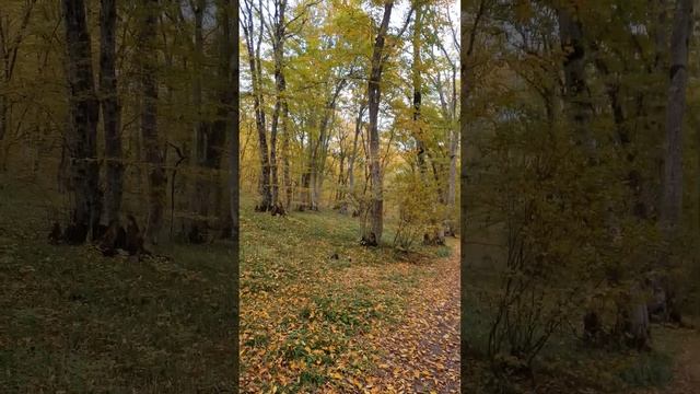 Осень в Кусарах смотреть онлайн