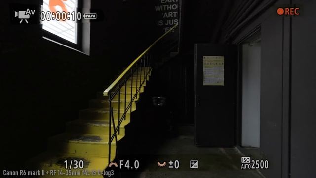 Обзор Canon R6 Mark II - топовый полный кадр?