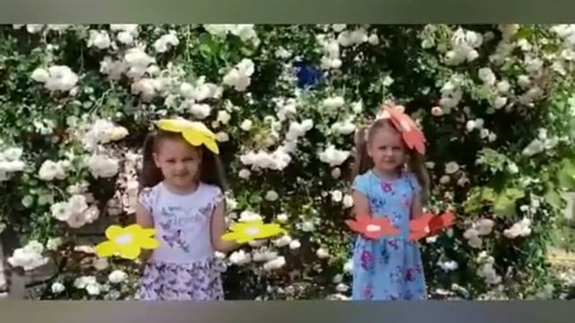 видео ролик "Хоровод цветов" смотреть онлайн