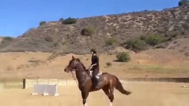 Hero and Tasia~ jumping 2 смотреть онлайн