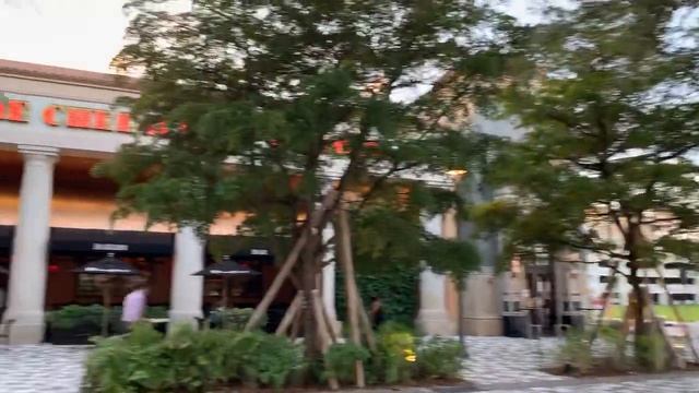 West Palm Beach город миллионеров. Очень красивая улица и встреча блоггера смотреть онлайн