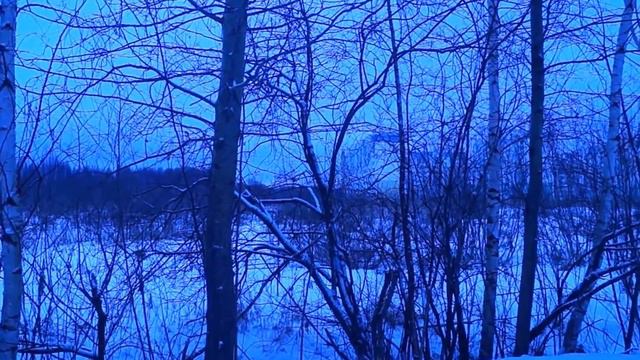 Прогулка в день перед Рождеством. смотреть онлайн