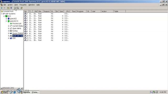 How to open SAP in VmWare смотреть онлайн