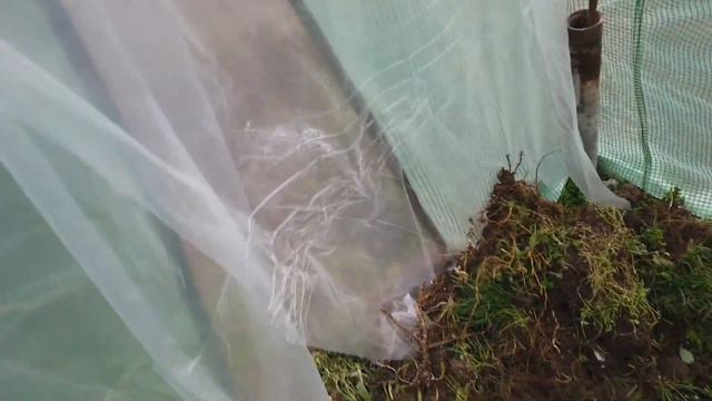 Сдобные булочки.Все 🤨 кое какую рассаду высадила в грунд смотреть онлайн