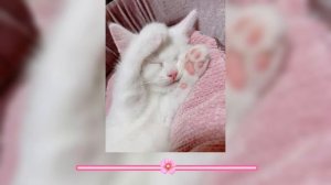 Песня кайфа для гулянок уборки и всякое такое??