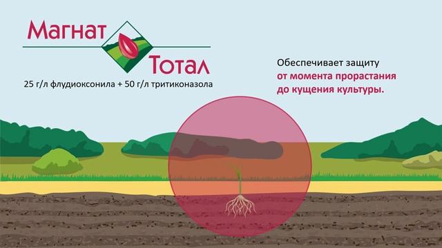 Магнат Тотал, КС - тотальный контроль болезней зерновых колосовых смотреть онлайн