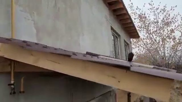 Установка пластиковых окон Witex смотреть онлайн