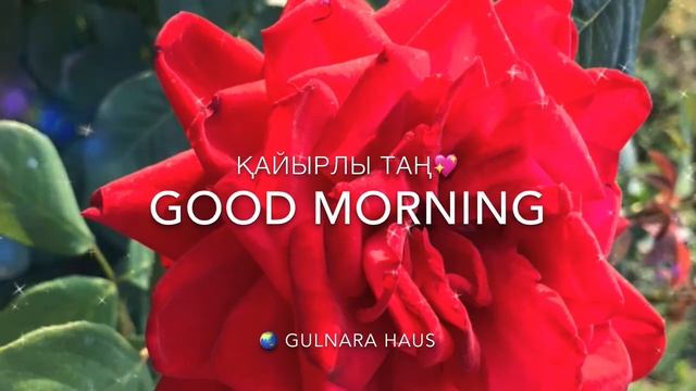 ҚайырлыТаң смотреть онлайн