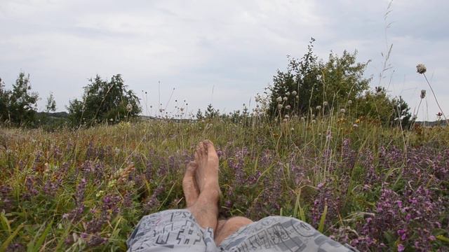 Поход Август Природа смотреть онлайн