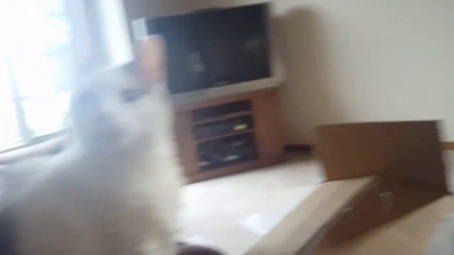 Opening a My Hero Academia Funko Pop Package! смотреть онлайн