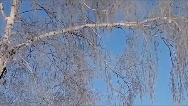 Крещенье. Мороз.Выгуливаем шубу. смотреть онлайн