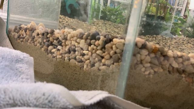 Repairing & Replanting a 70s Vintage Terrarium Table смотреть онлайн