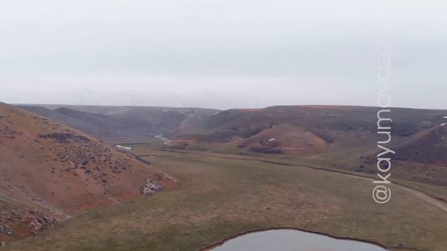 TOGUS смотреть онлайн