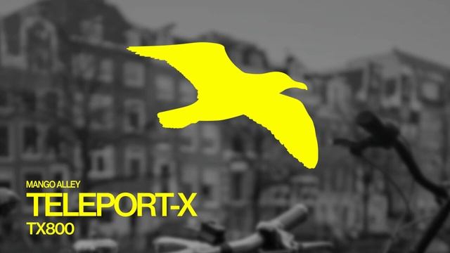 TELEPORT-X TX800 смотреть онлайн