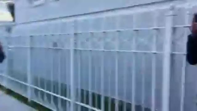 SAC rally Russian consulate смотреть онлайн