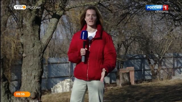 Напарники и верные друзья: жизнь собак кинологической службы смотреть онлайн