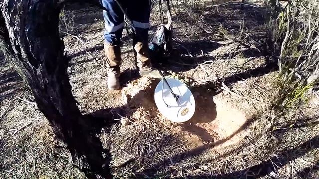 Wedderburn Gold Nugget. GPX 4500 Detech Coil смотреть онлайн