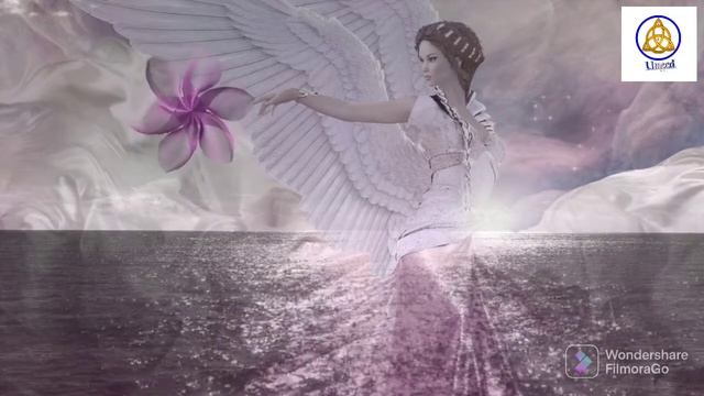 Angel Numbers 219 Meaning | Decoded Angel Numbers | Mysterious Angel Numbers | Angels Kaun Hai? смотреть онлайн