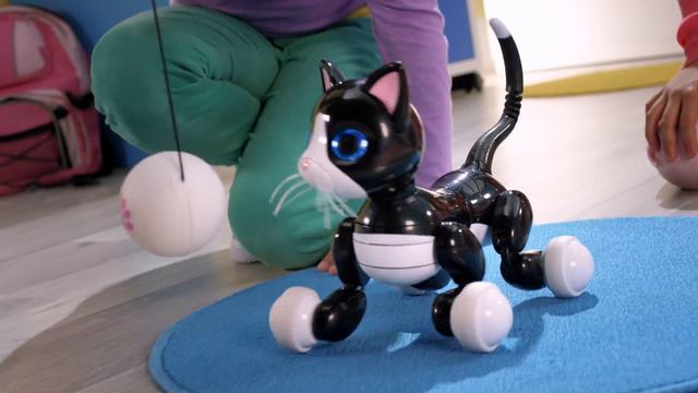 Spin Master | Zoomer Kitty - Meet Zoomer Kitty! смотреть онлайн