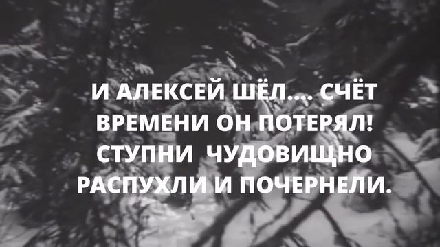 Буктрейлер по книге Бориса Полевого «Повесть о настоящем человеке». смотреть онлайн